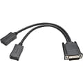 Tripp Lite 1 DMS-59/DisplayPort Splitter Y Cable; Black