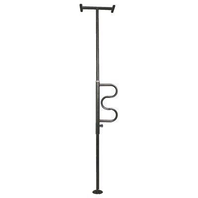 Stander Steel Security Pole & Curve Grab Bar; Metallic Black