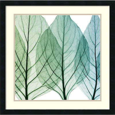 Amanti Art Celosia Leaves II Framed Art Print by Steven N. Meyers, 26H x 26W