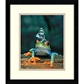 Amanti Art Frogs Framed Art Print, 15.13H x 13.13W
