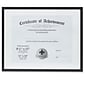 Lawrence Frames 240011 Black Aluminum 14.25" x 11.25" Document Frame