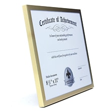 Lawrence Frames 240281 Gold Aluminum 11.25 x 8.75 Document Frame