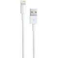 RCA 10 Power & Sync Lightning™ Cable