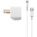 Kanex Lightning Wall Charger for All iPhones, White (KWCU10KT8P)
