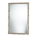 Sterling Industries 582DM19979 45H x 30W Emery Hill Rectangle Wall Mirror
