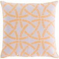 Surya ain 100% Polyester Accent Pillow, 20 x 20 Polystyrene (RG004-2020 R)