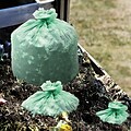 Stout EcoSafe-6400 Compostable Compost Bag; 42 x 48; Green