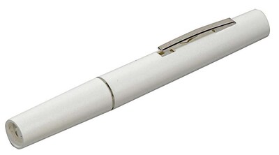 Briggs Healthcare Reusable Penlight Silver
