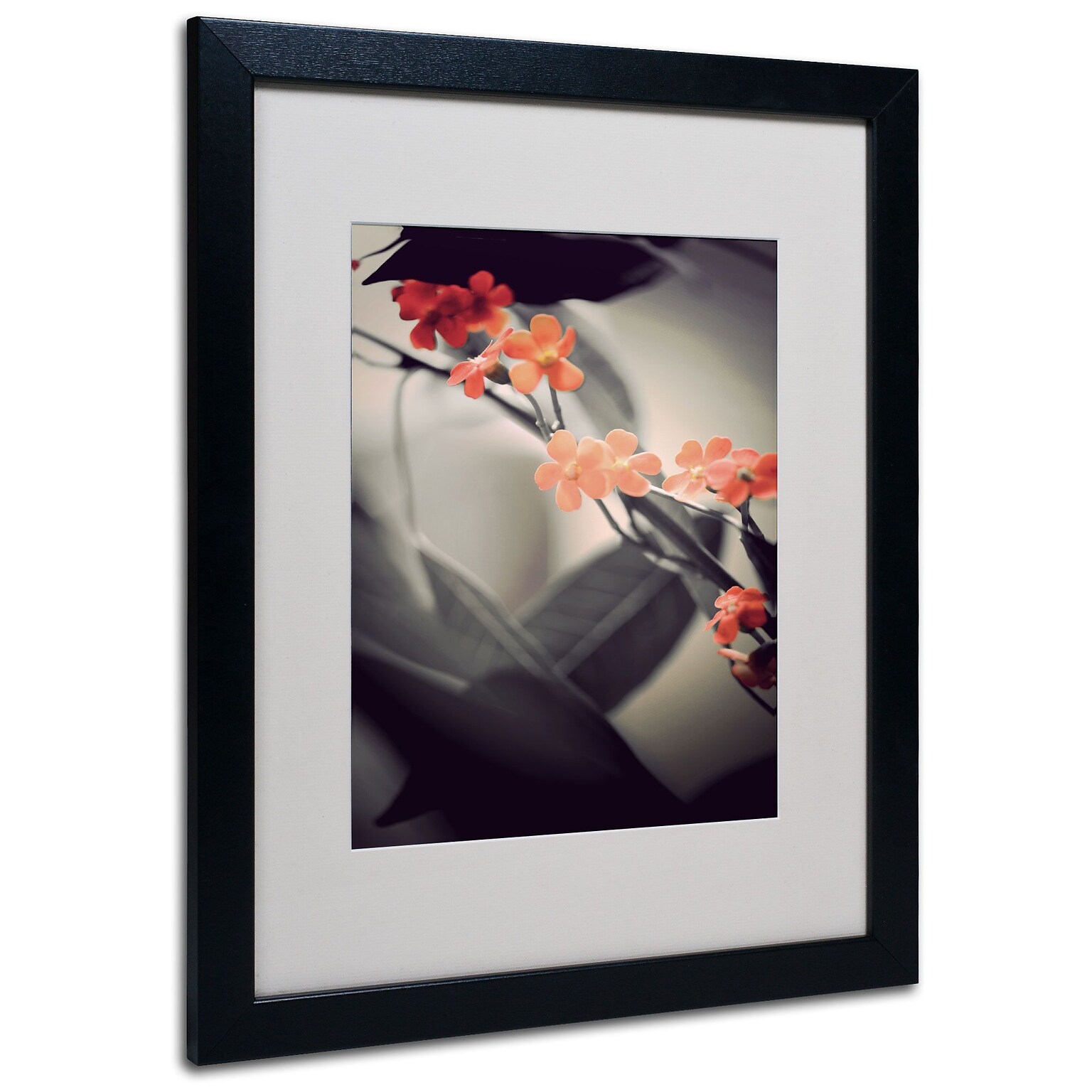 Trademark Philippe Sainte-Laudy Soft Grey 1 Art, White Matte With Black Frame, 16 x 20