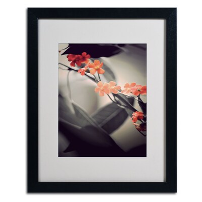 Trademark Philippe Sainte-Laudy Soft Grey 1 Art, White Matte With Black Frame, 16 x 20