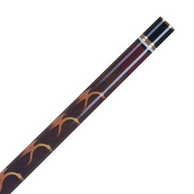 Trademark Games™ 2 Piece Pool Cue Stick With Case; Fantasy Dragon