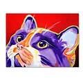 Trademark DawgArt Cat Issa Gallery-Wrapped Canvas Art, 18 x 24