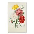 Trademark Joseph Redoute Carnations from Choix Gallery-Wrapped Canvas Art, 12 x 19