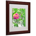 Trademark Kathie McCurdy Hot Tropic Art, White Matte With Wood Frame, 11 x 14