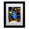 Trademark Kurt Shaffer Parrot Fish Art, White Matte With Black Frame, 11 x 14