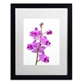 Trademark Kurt Shaffer Purple Orchids Art, White Matte With Black Frame, 16 x 20