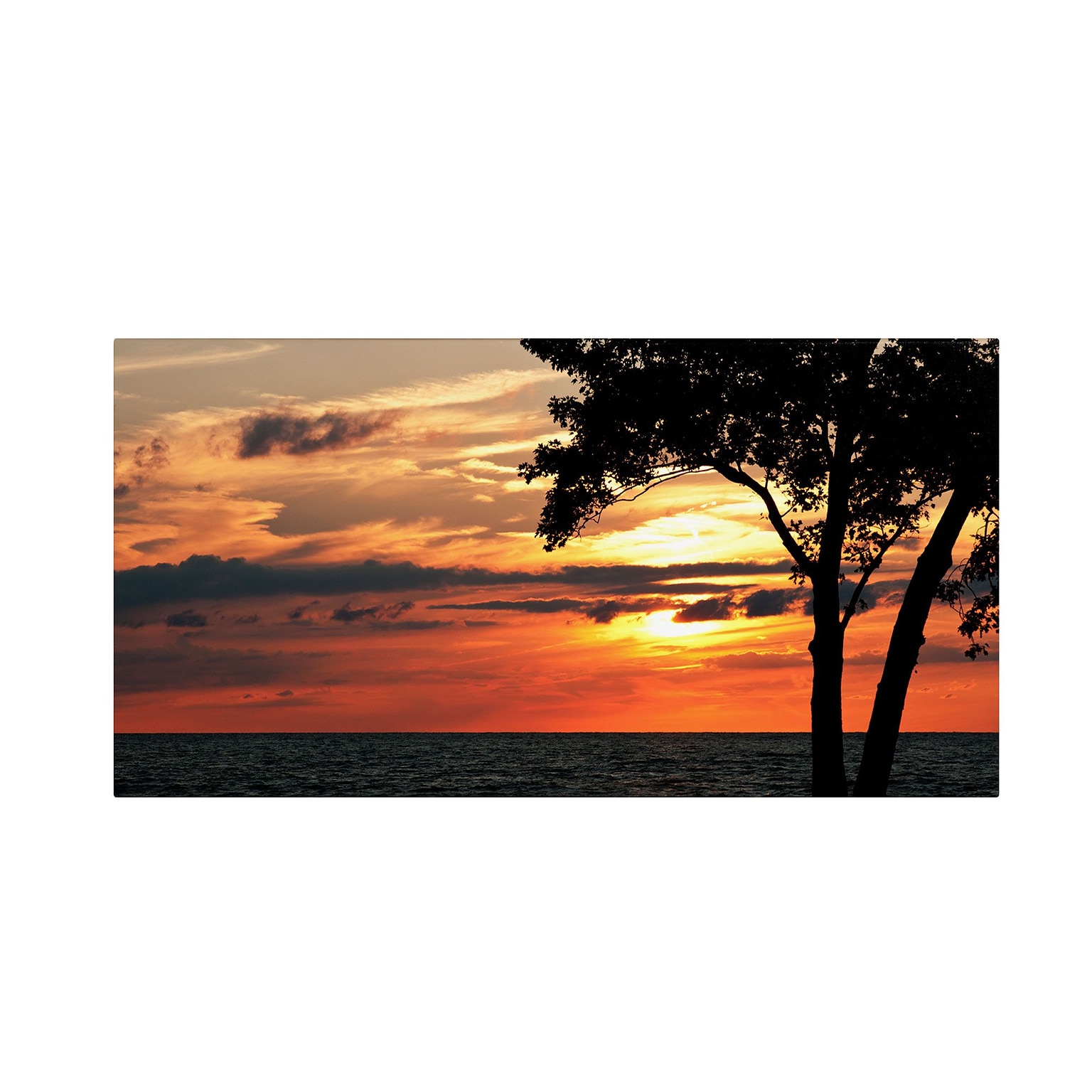 Trademark Kurt Shaffer A Special Sunset Gallery-Wrapped Canvas Art, 24 x 47