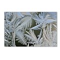 Trademark Kurt Shaffer Frost Pattern #1 Gallery-Wrapped Canvas Art, 16 x 24