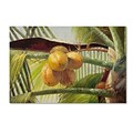 Trademark Victor Giton Coconut Palm I Gallery-Wrapped Canvas Art, 16 x 24