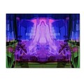 Trademark Andrea Midnight Gallery-Wrapped Canvas Art, 35 x 47