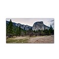 Trademark David Ayash Yosemite National Park - California-II Gallery-Wrapped Canvas Art, 10 x 19