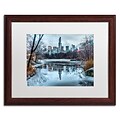 Trademark David Ayash Frozen Central Park Lake I Art, White Matte With Wood Frame, 16 x 20