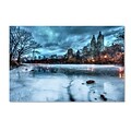 Trademark David Ayash Frozen Central Park Lake II Gallery-Wrapped Canvas Art, 12 x 19