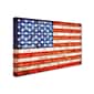 Trademark Michelle Calkins "American States with Flags" Gallery-Wrapped Canvas Art, 30" x 47"