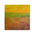 Trademark Michelle Calkins Highway Series Soil Gallery-Wrapped Canvas Art, 24 x 24