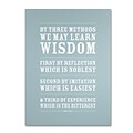 Trademark Megan Romo Three Ways to Wisdom Gallery-Wrapped Canvas Art, 35 x 47