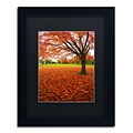 Trademark CATeyes Autumn Expressions Art, Black Matte W/Black Frame, 11 x 14
