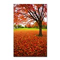 Trademark CATeyes Autumn Expressions Gallery-Wrapped Canvas Art, 22 x 32