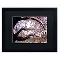 Trademark CATeyes Cherry Blossoms 2014-1 Art, Black Matte W/Black Frame, 16 x 20