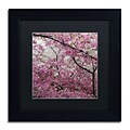 Trademark CATeyes Cherry Blossoms 2014-3 Art, Black Matte W/Black Frame, 11 x 11
