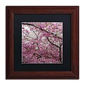 Trademark CATeyes Cherry Blossoms 2014-3 Art, Black Matte W/Wood Frame, 11 x 11