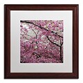 Trademark CATeyes Cherry Blossoms 2014-3 Art, White Matte W/Wood Frame, 16 x 16