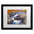 Trademark CATeyes Great Falls Art, White Matte W/Black Frame, 16 x 20