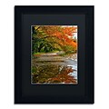 Trademark CATeyes Tidal Basin Autumn 1 Art, Black Matte W/Black Frame, 11 x 14