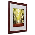 Trademark Philippe Sainte-Laudy Plane Tree Alley Art, White Matte With Wood Frame, 16 x 20