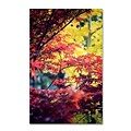 Trademark Philippe Sainte-Laudy Red vs Yellow Gallery-Wrapped Canvas Art, 30 x 47