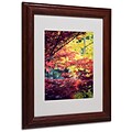 Trademark Philippe Sainte-Laudy Red vs Yellow Art, White Matte With Wood Frame, 11 x 14