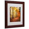 Trademark Philippe Sainte-Laudy Yellow Moment Art, White Matte With Wood Frame, 11 x 14