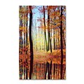 Trademark Philippe Sainte-Laudy Fall Mirror Gallery-Wrapped Canvas Art, 12 x 19