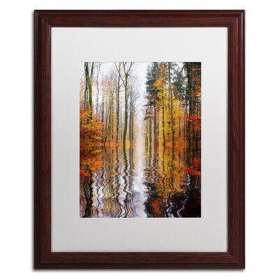 Trademark Philippe Sainte-Laudy Higher Ground Art, White Matte With Wood Frame, 16 x 20