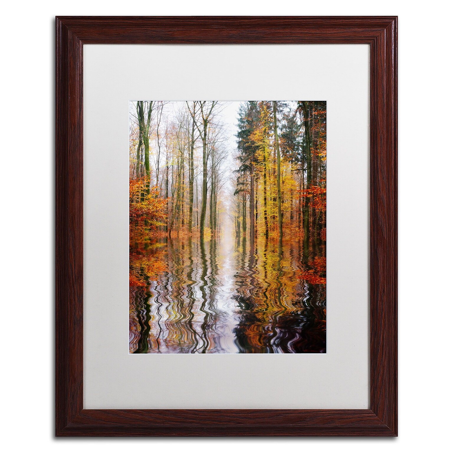 Trademark Philippe Sainte-Laudy Higher Ground Art, White Matte With Wood Frame, 16 x 20