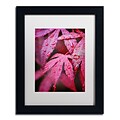Trademark Philippe Sainte-Laudy Red Maple Leaves Art, White Matte With Black Frame, 11 x 14