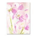 Trademark Sheila Golden Amaryllis Blossoming Gallery-Wrapped Canvas Art, 14 x 19