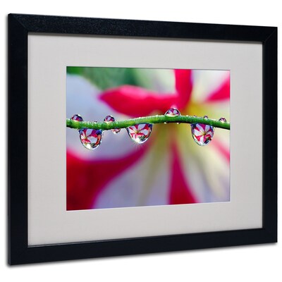 Trademark Steve Wall Drops with a Little Flair Art, White Matte W/Black Frame, 16 x 20