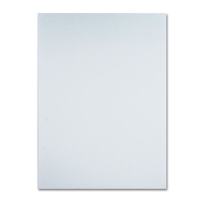 Trademark Professional Blank White Canvas On Stretcher Bars, 24 x 32