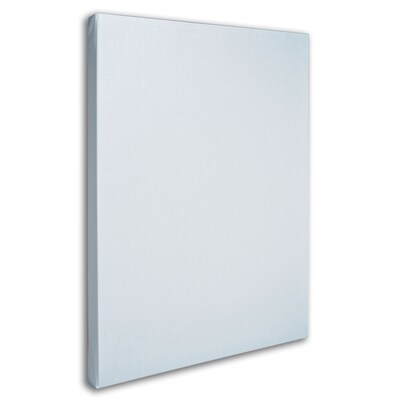 Trademark Professional Blank White Canvas On Stretcher Bars, 18" x 24"